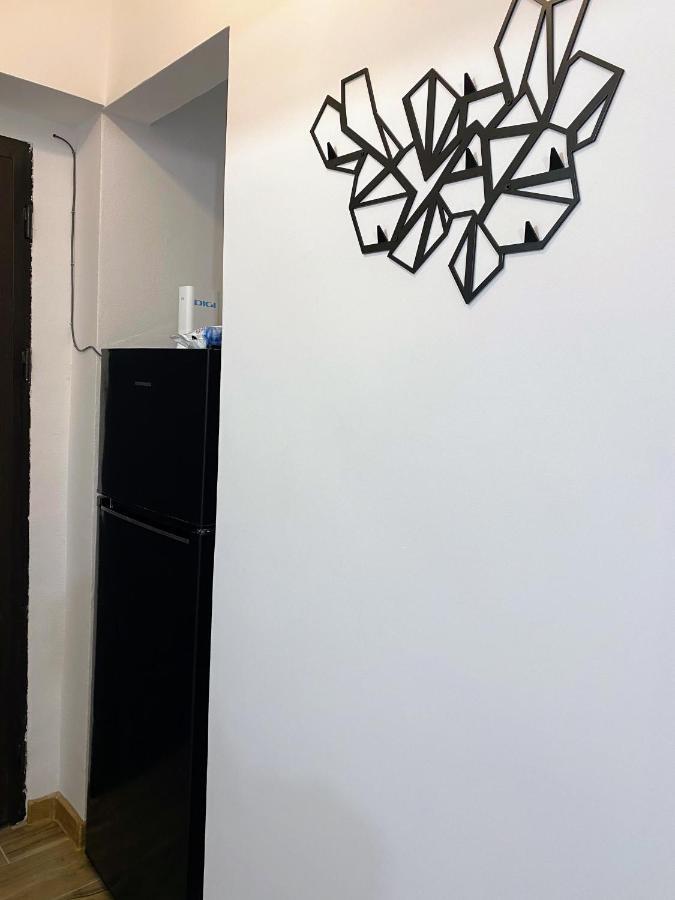 Central Cozy Apartment North Railway St - 4 Min Walk 布加勒斯特 外观 照片